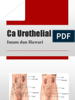 Ca Urothelial.pptx