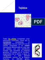 Tecnicatura1ra Clase Tejido EPITELIALAlumnas