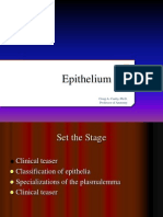 Epithelium I 2014 D2L