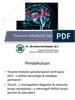 Trauma Medulla Spinalis