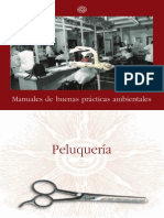 Buenas Practicas PELUQUER