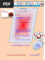 REVISTA ENLACE INFORMATIVO 004 (Edicion de fin de año)