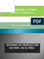 Sistema de Produccion de La Papa