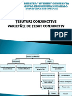 LP6.Varietati de Tesuturi Conjunctive