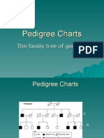 Pedigree Charts: The Family Tree of Genetics