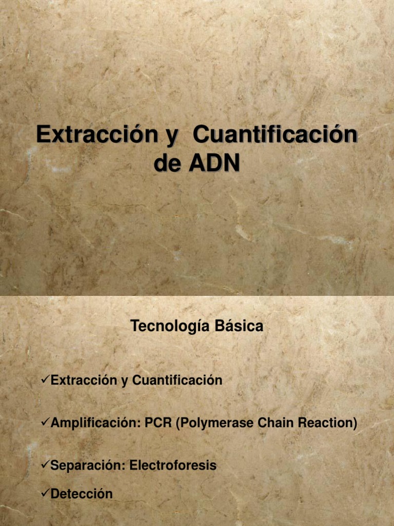 Cuantificacion de ADN PDF Adn Química