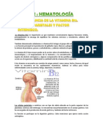 Trabajo Sobre Hematología e Interpretación de Una Analítica de Sangre