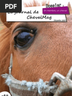 Download Journal Cheval Mag by chevalmag SN24495162 doc pdf
