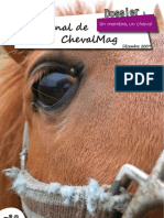 Journal Cheval Mag