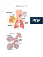 Imagini Anatomie AP Digestiv, Resp Si Cardovas.