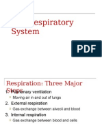 Respiratory System Anaphy Lab