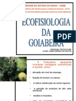 A Cultura Ecofisiologia Da Goiaba