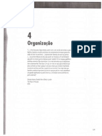 Cap4 Organização PDF