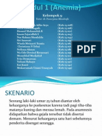 Modul 1 (Anemia)