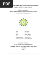 Download Sistem Reproduksi Hewan Jantan Dan Betina Pada Mencit by meliseprina SN244991686 doc pdf