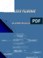 Tuberculosis Pulmonar