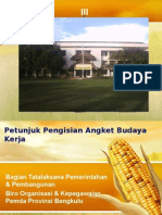 Petunjuk Pengisian Angket Budaya Kerja