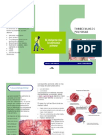 Tubercolusis Pulmonar