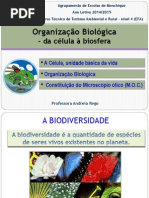 Organização Biológica - Da Célula à Biosfera