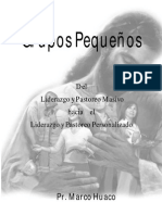 Libro Grupo Pequeo