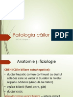 Patologia Cailor Biliare