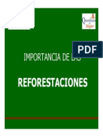 Reforestación