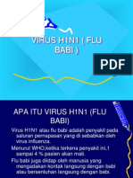 Flu Babi