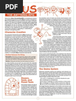 Risus - Pumpkin Spice Edition