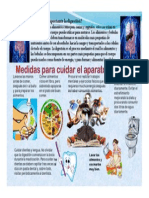 Medidas para Cuidar Aparato Digestivo