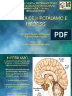 Anatomiadehipotalamo Hipofisis 131024011214 Phpapp02