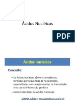 Ácidos Nucléicos