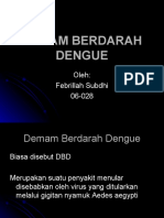 Febrillah Subdhi - Demam Berdarah Dengue