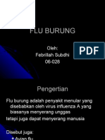 Febrillah Subdhi - Flu Burung