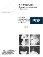 Espacio Retroperitoneal