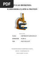 Download makalah karbohidratdocx by SeptrianiNainggolan SN245073383 doc pdf