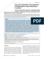 Transcriptomic Studies in Metarhizium