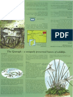 Gearagh Alluvial Forest - Infosheet