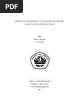 Download PENGENALAN ORDO HEMIPTERA THYSANOPTERA DAN ISOPTERA by Karina Zulkarnain SN245103312 doc pdf