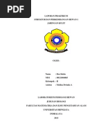 Download LAPORAN JARINGAN KULIT by Dea Sintia SN245112723 doc pdf
