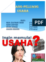 (3) Peluang-peluang Usaha