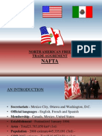 128387391-Nafta