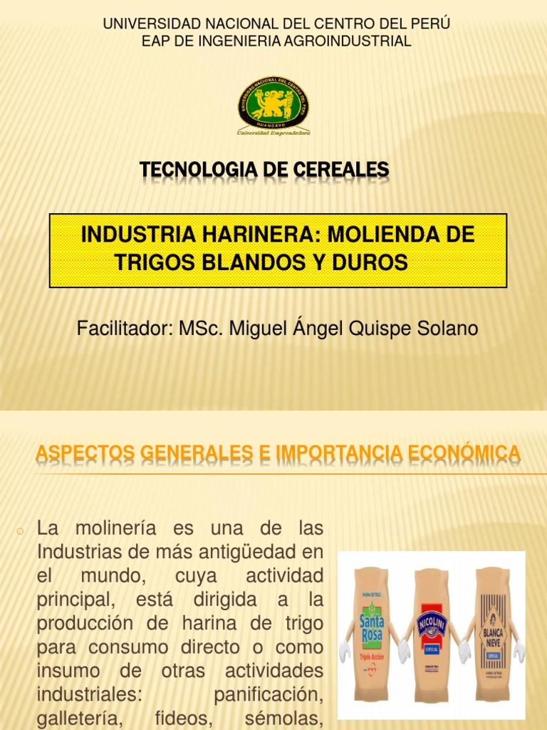 Proceso de Producción de Harina de Trigo | PDF | Trigo | Cereales