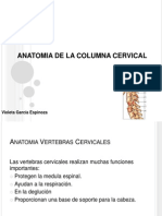 Anatomia Columna Cervical
