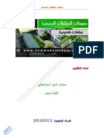 معوقات تمويل المقاولات المصغرة PDF