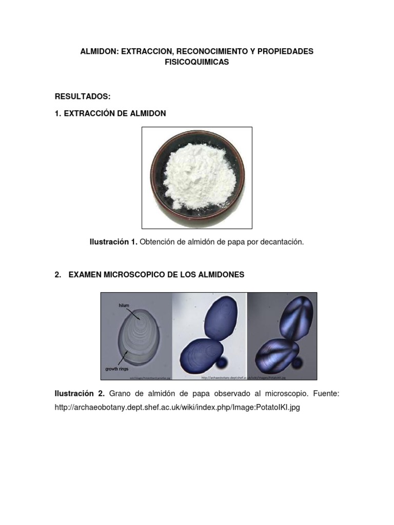 Propiedades y extracción del almidón | PDF | Almidón | Química