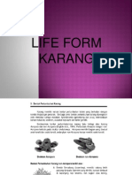 Life Form Karang