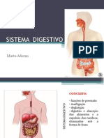 Aula 12 Sistema Digestorio