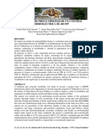 GRUPO 11-(Final PDF)