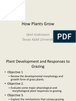 How Plants Grow: Mort Kothmann