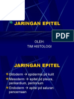 Jaringan Epitel-1